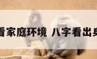 八字看家庭环境 八字看出身家庭