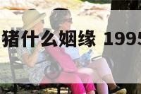 1995年属猪什么姻缘 1995年属猪的婚姻感情