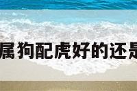 属狗配虎 属狗配虎好的还是配兔好点
