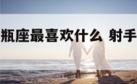 射手座和水瓶座最喜欢什么 射手座和水瓶座到底有多配