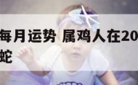 蛇年鸡年每月运势 属鸡人在2021年的全年运势属蛇