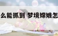梦境嫦娥怎么能抓到 梦境嫦娥怎么能抓到宝宝