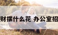 办公室招财摆什么花 办公室招财的绿植