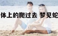 梦见蛇从身体上的爬过去 梦见蛇从我身上爬走