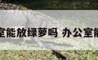 老板办公室能放绿萝吗 办公室能放绿箩吗