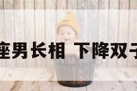 下降双子座男长相 下降双子男的婚姻