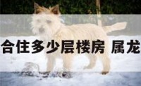 属龙属虎适合住多少层楼房 属龙和虎住几楼