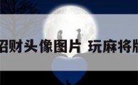 玩麻将招财头像图片 玩麻将牌的图片