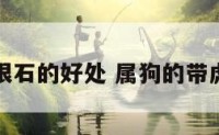 属狗带虎眼石的好处 属狗的带虎吊坠好吗