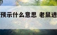老鼠进厨房预示什么意思 老鼠进厨房预示什么意思图片