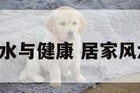 居家风水与健康 居家风水 健康