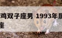 1993属鸡双子座男 1993年属鸡的女孩双子座