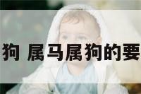 宝宝姓马属狗 属马属狗的要什么孩子好