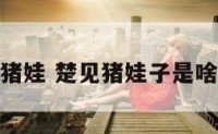 解梦猪娃 楚见猪娃子是啥意思