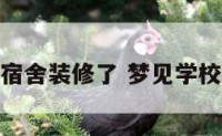 梦见学校宿舍装修了 梦见学校寝室装修