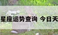 今日天平座星座运势查询 今日天平座的运气