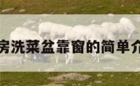 厨房洗菜盆靠窗的简单介绍