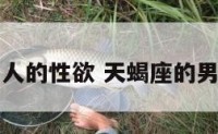 天蝎座男人的性欲 天蝎座的男生性方面