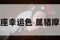属猪摩羯座幸运色 属猪摩羯座财运