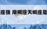 摩羯座天蝎座强 摩羯座天蝎座是最厉害的星座
