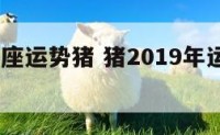 2019星座运势猪 猪2019年运势完整版