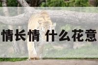 什么花象征爱情长情 什么花意味着爱情长久