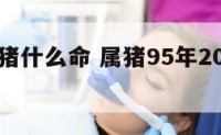 95年属猪什么命 属猪95年2025年运势