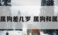 属虎和属狗差几岁 属狗和属虎谁大