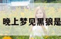 解梦黑狼 晚上梦见黑狼是什么预兆