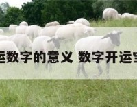 开运数字的意义 数字开运宝鉴