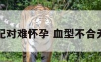 血型不配对难怀孕 血型不合无法怀孕