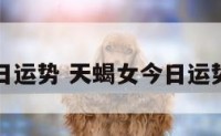 天蝎女每日运势 天蝎女今日运势星座运势