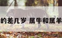 属牛和属羊的差几岁 属牛和属羊哪个更厉害