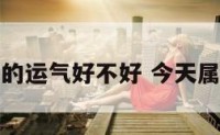 今天属狗的运气好不好 今天属狗的运势