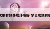 梦到坟地有好多坟环境好 梦见坟地有很多坟