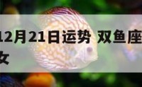 双鱼座12月21日运势 双鱼座12月21日运势女