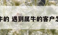 遇到属牛的 遇到属牛的客户怎么处理