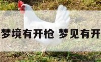 梦到梦境有开枪 梦见有开枪的