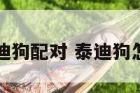 怎么样泰迪狗配对 泰迪狗怎么配得上