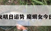 魔蝎女明日运势 魔蝎女今日运气