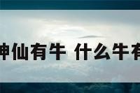什么神仙有牛 什么牛有仙气