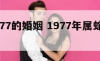 属蛇1977的婚姻 1977年属蛇的婚姻运势