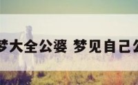周公解梦大全公婆 梦见自己公公婆婆