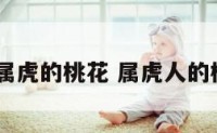2018属虎的桃花 属虎人的桃花年