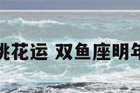 双鱼座明年桃花运 双鱼座明年的爱情运势