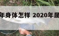 属牛的今年身体怎样 2020年属牛人身体如何