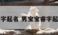男宝宝睿字起名 男宝宝睿字起名怎么样