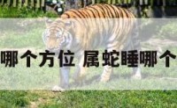 属蛇睡哪个方位 属蛇睡哪个方位好