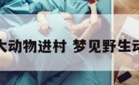 梦见庞大动物进村 梦见野生动物进村