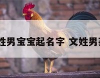 2017文姓男宝宝起名字 文姓男孩取名字